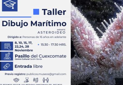 Taller de dibujo marítimo, 15, 17, 22, 24,28 Nov, 15:30hrs a 17:30hrs, Centro Cultural Jardín borda