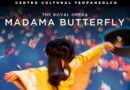 Madama Butterfly. 04 de mayo